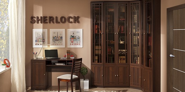 Модульная библиотека Sherlock №4 в Тюмени - изображение