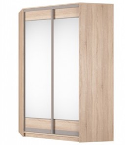 Шкаф угловой Аларти (YA-230х1400(602) (10) Вар. 3; двери D2+D2), с зеркалом в Заводоуковске