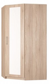 Угловой шкаф распашной Реал (YR-198х1034 (7)-М, Вар.3), с зеркалом в Заводоуковске - предосмотр