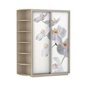 Шкаф 2-х створчатый Экспресс 1700x600x2200, со стеллажом, Орхидея белая/шимо светлый в Заводоуковске
