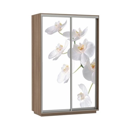 Шкаф Экспресс 1400x600x2400, Орхидея белая/шимо темный в Тюмени - изображение