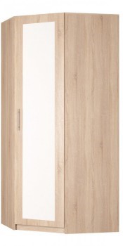Угловой шкаф распашной Реал (YR-230х1034 (3)-М Вар.5), с зеркалом в Заводоуковске - изображение