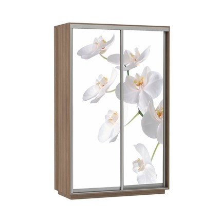 Шкаф Экспресс 1400x600x2200, Орхидея белая/шимо темный в Заводоуковске - изображение