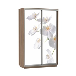 Шкаф 2-дверный Экспресс 1200x600x2200, Орхидея белая/шимо темный в Тюмени