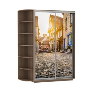Шкаф 2-х дверный Экспресс 1900x600x2400, со стеллажом, Улица/шимо темный в Тюмени