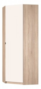Угловой распашной шкаф Реал (YR-230х884-TR (9)-М Вар.2), без зеркала в Тюмени