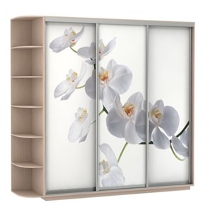 Шкаф 3-х створчатый Экспресс со стеллажом, 2700х600х2200, Орхидея белая/дуб молочный в Заводоуковске