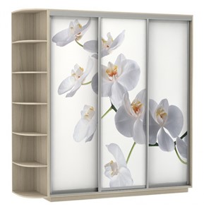 Шкаф 3-х дверный Экспресс со стеллажом, 2400х600х2400, Орхидея белая/шимо светлый в Тюмени