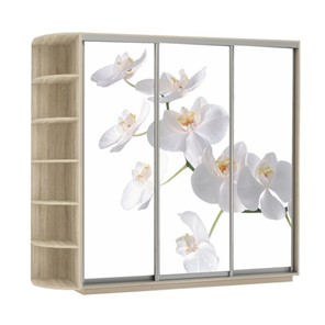 Шкаф 3-дверный Экспресс со стеллажом, 2700х600х2200, Орхидея белая/дуб сонома в Заводоуковске - предосмотр