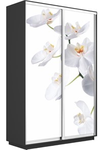 Шкаф 2-х дверный Экспресс 1200x450x2400, Орхидея белая/серый диамант в Тюмени