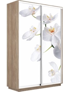 Шкаф 2-х створчатый Экспресс 1200x600x2200, Орхидея белая/дуб сонома в Тюмени