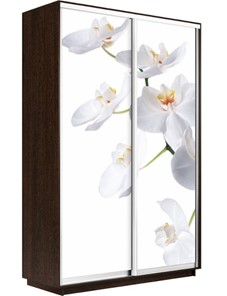 Шкаф 2-х створчатый Экспресс 1200x600x2200, Орхидея белая/венге в Тюмени