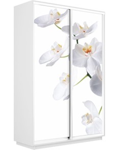 Шкаф-купе двухдверный Экспресс 1200x600x2400, Орхидея белая/белый снег в Тюмени - предосмотр