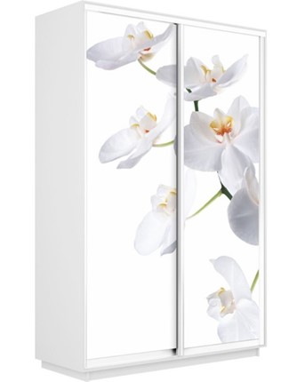Шкаф-купе двухдверный Экспресс 1200x600x2400, Орхидея белая/белый снег в Тюмени - изображение