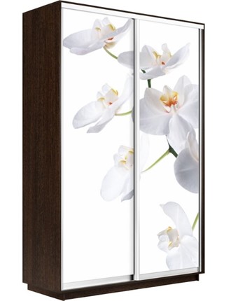 Шкаф 2-х дверный Экспресс 1200x600x2400, Орхидея белая/венге в Заводоуковске - изображение