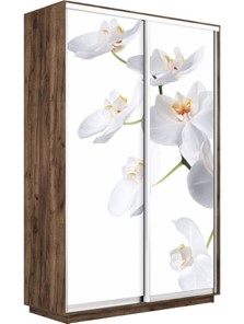Шкаф 2-х створчатый Экспресс 1400x450x2400, Орхидея белая/дуб табачный в Тюмени