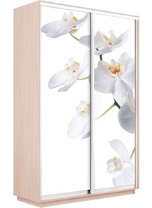 Шкаф 2-х дверный Экспресс 1400x600x2200, Орхидея белая/дуб молочный в Тюмени