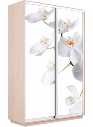 Шкаф 2-х дверный Экспресс 1400x600x2200, Орхидея белая/дуб молочный в Заводоуковске - изображение