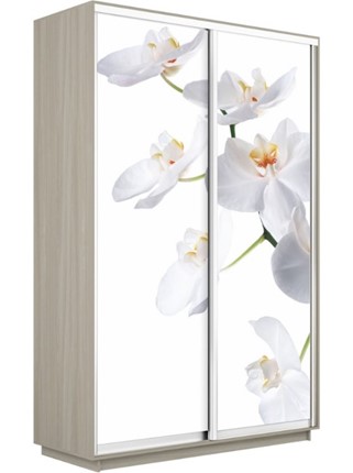 Шкаф-купе 2-х дверный Экспресс 1400x600x2200, Орхидея белая/шимо светлый в Тюмени - изображение