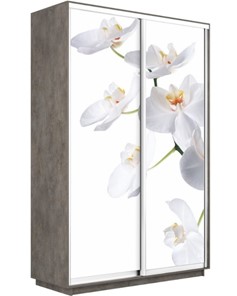 Шкаф 2-створчатый Экспресс 1400x600x2400, Орхидея белая/бетон в Тюмени