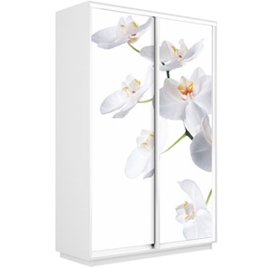 Шкаф Экспресс 1600x450x2400, Орхидея белая/белый снег в Заводоуковске - предосмотр