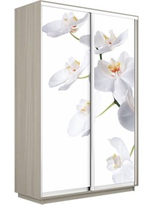 Шкаф-купе Экспресс 1600x600x2200, Орхидея белая/шимо светлый в Тюмени