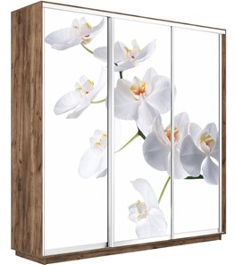 Шкаф 3-дверный Экспресс 1800х450х2200, Орхидея белая/дуб табачный в Тюмени