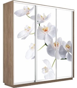 Шкаф 3-дверный Экспресс 1800х450х2400, Орхидея белая/дуб сонома в Тюмени