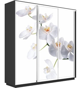 Шкаф 3-х дверный Экспресс 1800х450х2400, Орхидея белая/серый диамант в Тюмени