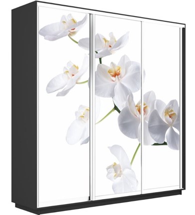 Шкаф 3-х дверный Экспресс 1800х450х2400, Орхидея белая/серый диамант в Заводоуковске - изображение
