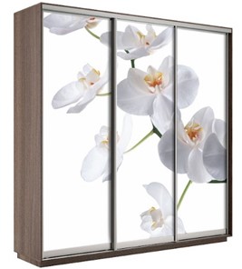 Шкаф 3-дверный Экспресс 1800х600х2200, Орхидея бела/шимо темный в Ишиме