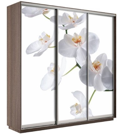 Шкаф 3-дверный Экспресс 1800х600х2200, Орхидея бела/шимо темный в Тюмени - изображение