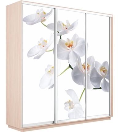 Шкаф Экспресс 1800х600х2200, Орхидея белая/дуб молочный в Заводоуковске - изображение