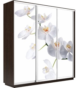 Шкаф 3-створчатый Экспресс 2100х450х2200, Орхидея белая/венге в Тюмени