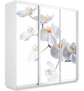 Шкаф 3-дверный Экспресс 2100х450х2400, Орхидея белая/белый снег в Тюмени