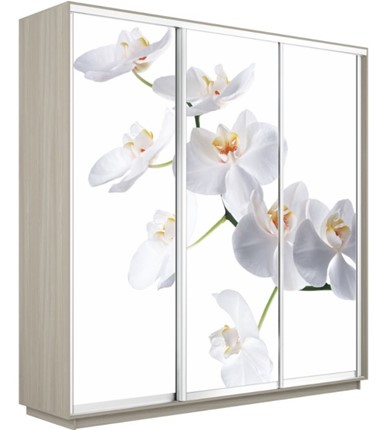 Шкаф 3-дверный Экспресс 2100х600х2200, Орхидея белая/шимо светлый в Тюмени - изображение