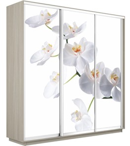 Шкаф 3-х створчатый Экспресс 2100х600х2400, Орхидея белая/шимо светлый в Тюмени