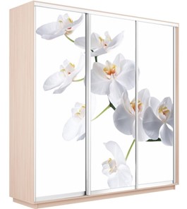 Шкаф 3-х створчатый Экспресс 2400х600х2400, Орхидея белая/дуб молочный в Тюмени