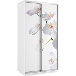 Шкаф 2-створчатый Хит 1200x600x2200, белая орхидея, белый снег в Тюмени
