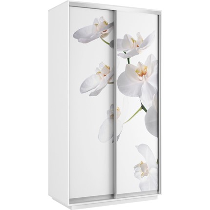 Шкаф 2-створчатый Хит 1200x600x2200, белая орхидея, белый снег в Заводоуковске - изображение