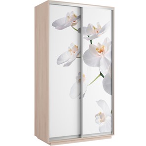Шкаф 2-дверный Хит 1200x600x2200, белая орхидея, дуб молочный в Заводоуковске
