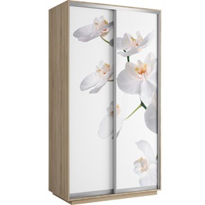 Шкаф 2-х створчатый Хит 1200x600x2200, белая орхидея, ясень шимо светлый в Тюмени