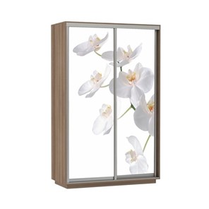 Шкаф 2-х дверный Экспресс 1200x600x2400, Орхидея белая/шимо темный в Тюмени