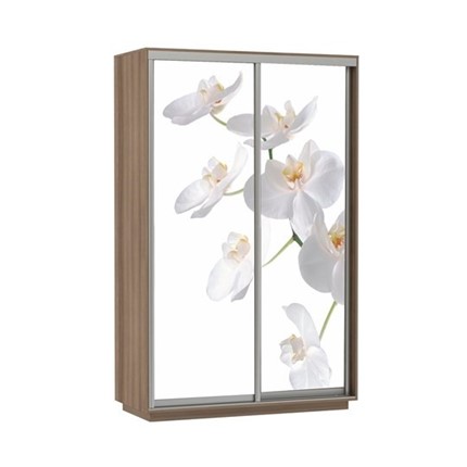 Шкаф 2-х дверный Экспресс 1200x600x2400, Орхидея белая/шимо темный в Заводоуковске - изображение