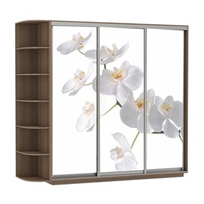 Шкаф 3-створчатый Экспресс со стеллажом, 2400х600х2200, Орхидея белая/шимо темный в Тюмени