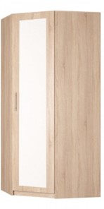 Распашной шкаф угловой Реал (YR-230х1034 (3)-М Вар.4), с зеркалом в Ишиме