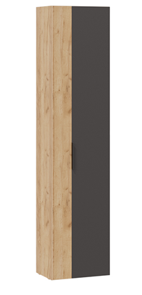 Комбинированный шкаф Асти (Дуб крафт золотой/Антрацит) в Заводоуковске - изображение