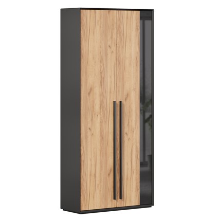 Шкаф для прихожей 2-дверный Неаполь ЛД.134050.000 (Черный/Дуб Золотой) в Заводоуковске - изображение