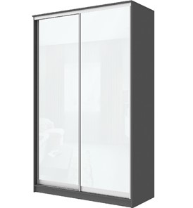 Шкаф 2-х дверный Хит-22-12-22 с цветным стеклом, белое №10, Графит в Тюмени - предосмотр