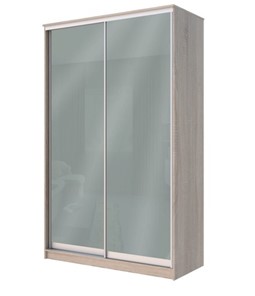 Шкаф 2-х дверный Хит-22-14-22 с цветным стеклом, средне-серый 074, Дуб сонома в Заводоуковске - предосмотр